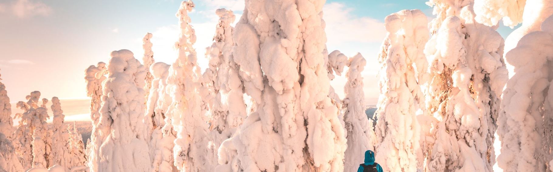 Finland, Finske Lapland, Inari, Wilderness Hotel, Snelandskab, Vinter