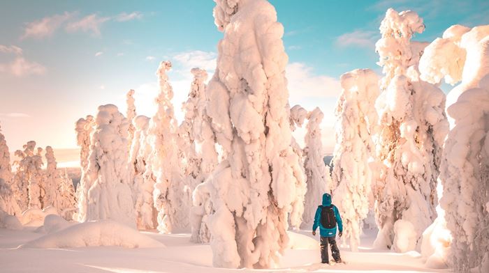 Finland, Finske Lapland, Inari, Wilderness Hotel, Snelandskab, Vinter