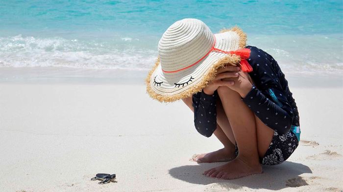 Skildpadde udklækket på stranden på Six Senses Laamu