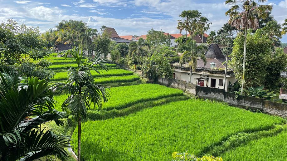 Indonesien Bali Ubud Adiwana Bisma, Resort Surroundings
