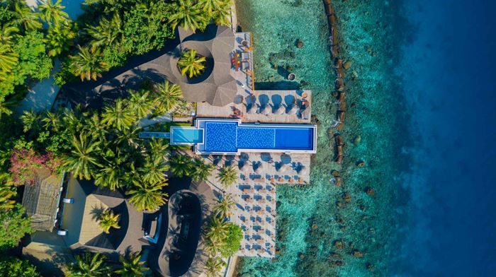 Rejser til Maldiverne, Centara Grand Island Resort & Spa, Infinity pool 