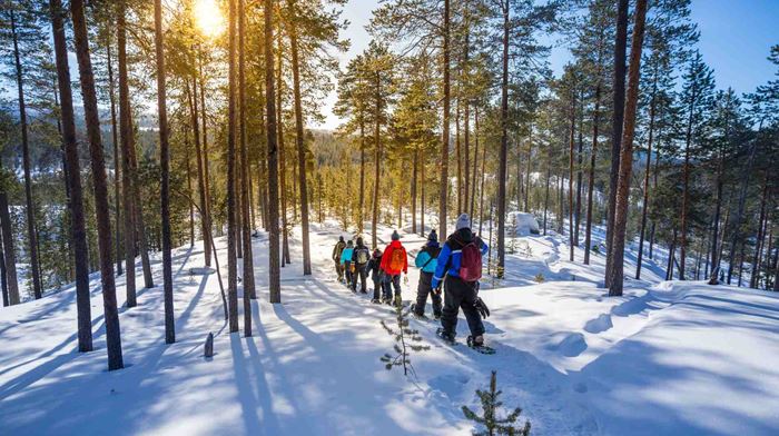 Finland Finske Lapland Nellim Wilderness Hotel, Vandring i Snesko, Vinter, Sne