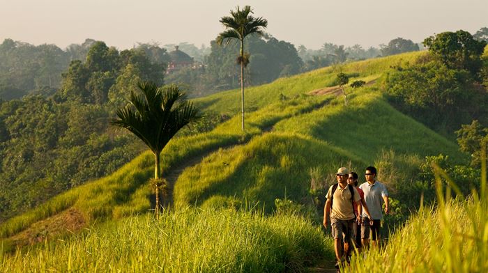 Indonesien, Bali, Ubud Como Uma, Morning Walk, Nature