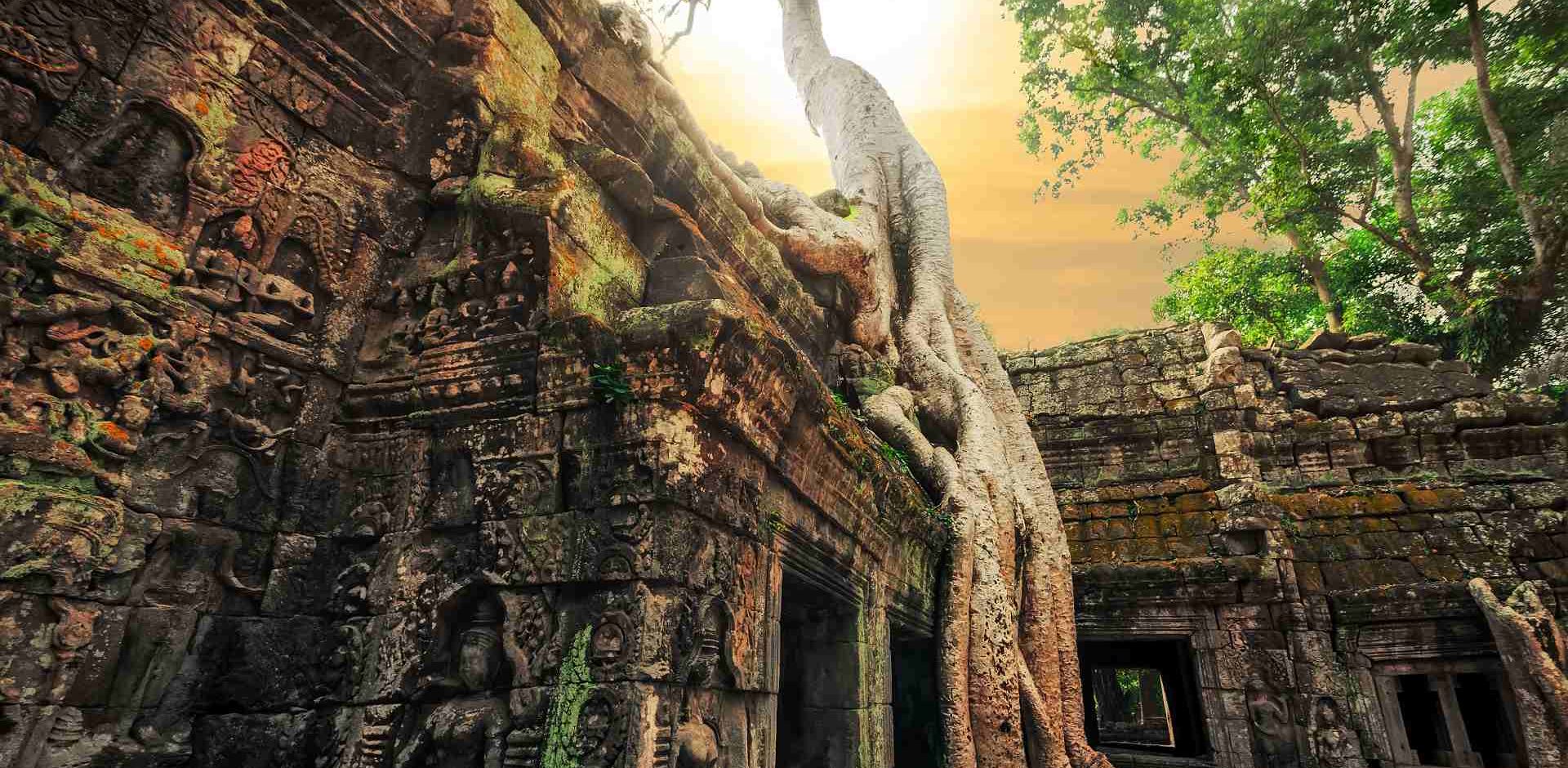 Cambodia Siam Reap Udflugt Heldagsudflugt Til Tempelbyen Angkor