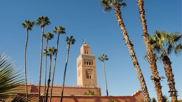 Marokko Marrakech Koutoubia Mosque, palmer og moske
