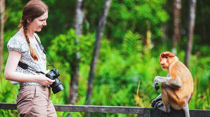 Malaysia, Borneo, Kvinde med kamera ved siden af en lokal abe