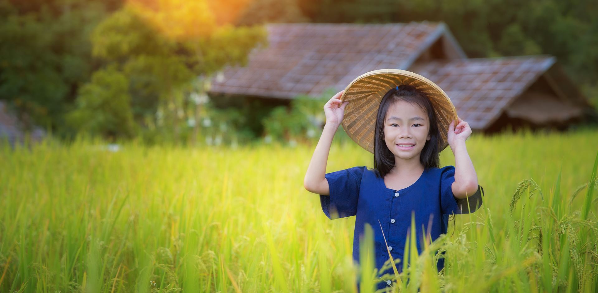 Nordthailandsk pige i rismarken