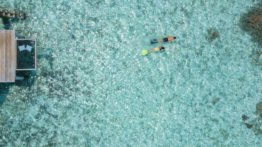 Rejser til Maldiverne, Centara Grand Island Resort & Spa, Snorkeling ved øens koralrev