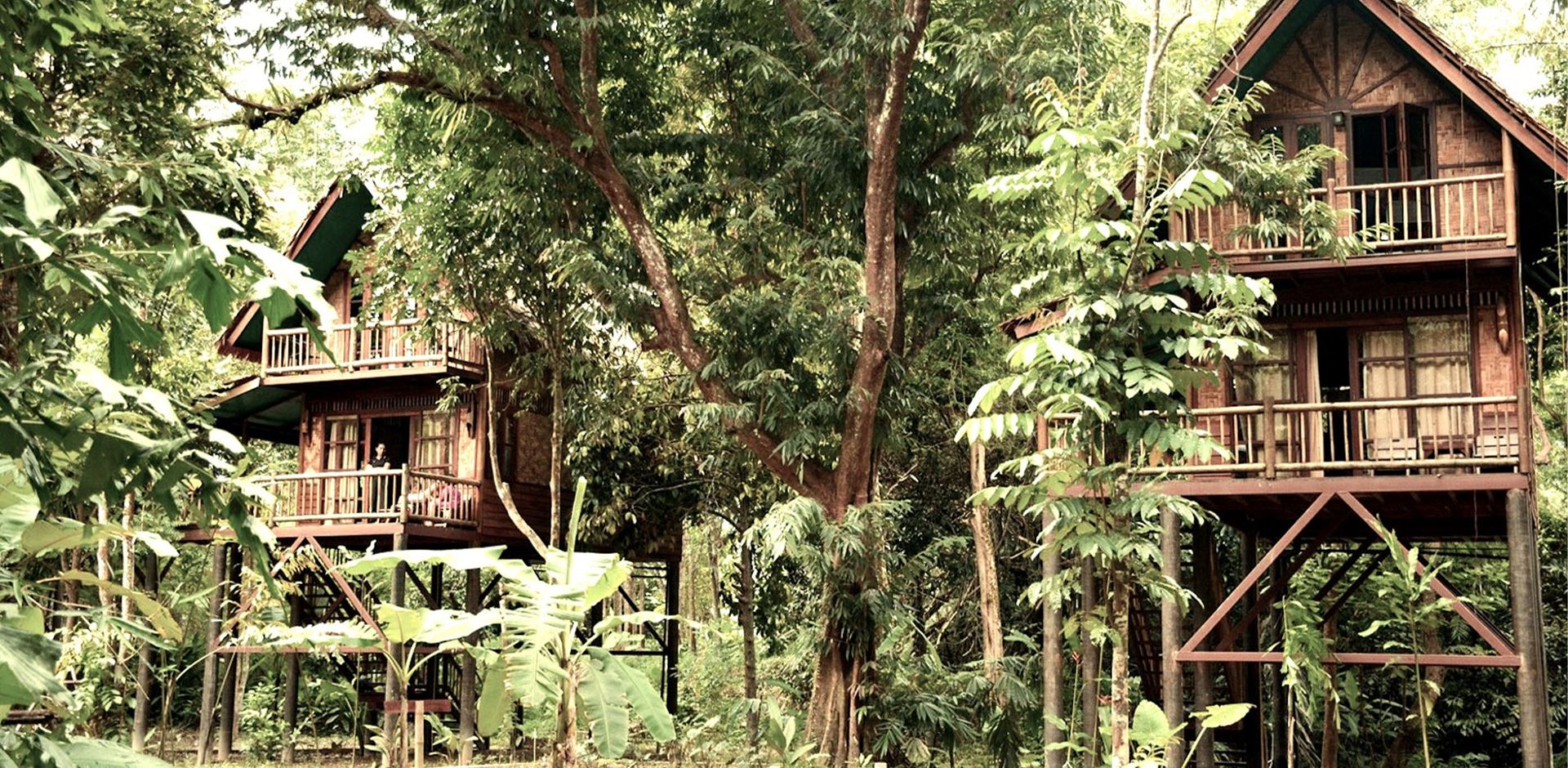 Thailand, Khao Sok, Our Jungle Camp, Two Storey Treehouse