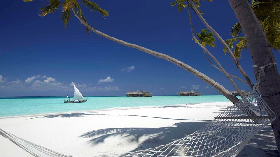 Hængekøje under palmerne på Gili Lankanfushi