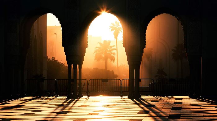 Afrika Marokko Casablanca Arkitektur Mosqueof Hassan2, palmer, sol og dis