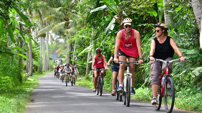 Indonesien, Bali, Cykeltur, Udflugt, Aktivitet