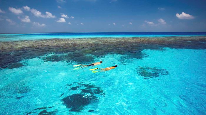 Snorkeling ved koralrevet ved Gili Lankanfushi