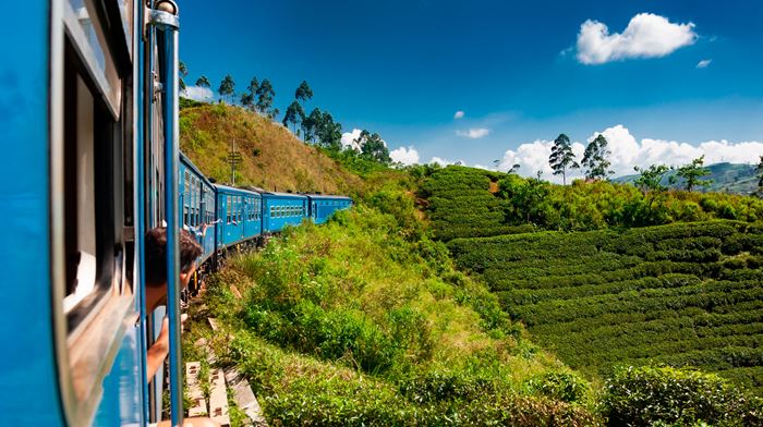 Sri Lanka Tog Fra Nuwara Til Kandy Kører Igennem Teplantagerne