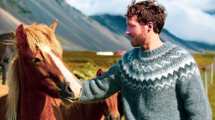 Island Mand Klapper Islandsk Hest I Smuk Natur 