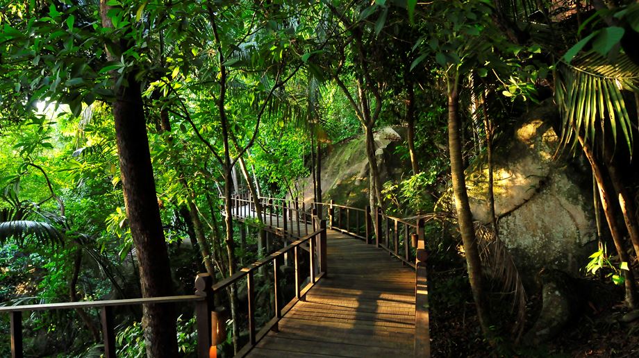 malaysia-tioman-island-jamala-resort-boutique-hotel-jungle-nature-walkway
