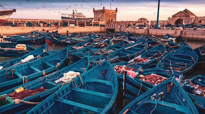 Marokko Essaouira Blå Både I Havn