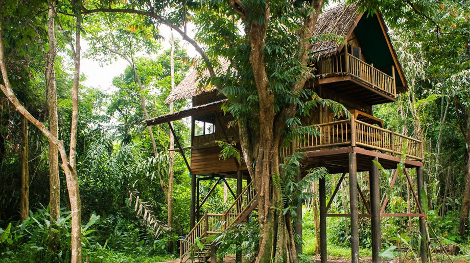 Thailand, Khao Sok, Our Jungle Camp, Two Storey Treehouse
