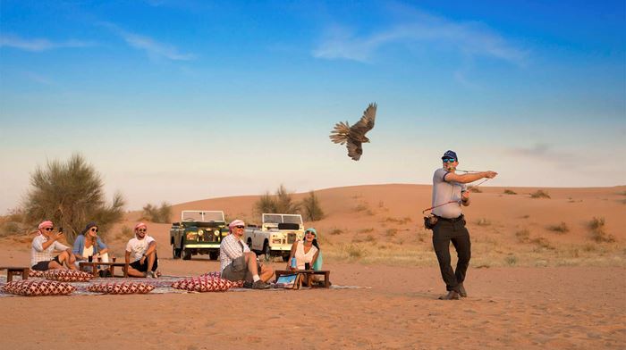 Dubai Ørken Safari Falke Opdræt