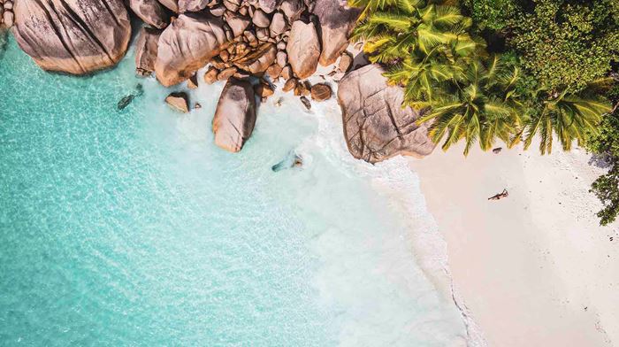 Seychellerne Drone Skud Kvinde Ligger Paa Strand Ved Hav Palme