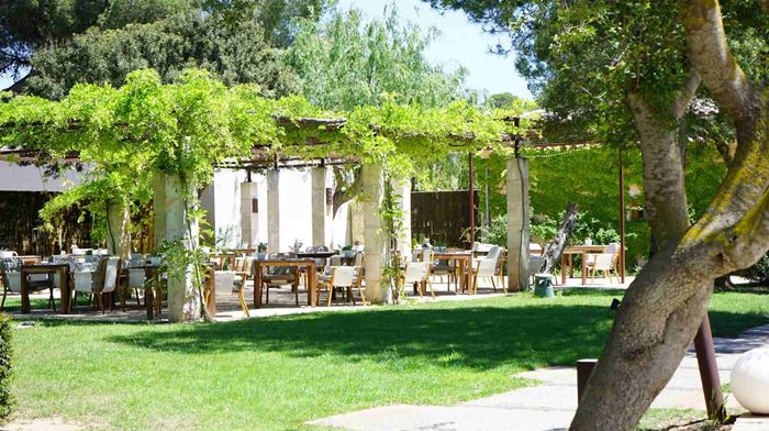 Rejser til Spanien Mallorca, Fontsanta Termal Spa & Wellness, garden lounge