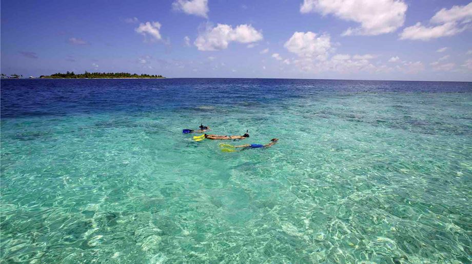 Rejser til Maldiverne, Six Senses Laamu, Snorkeling ved koralrevet 