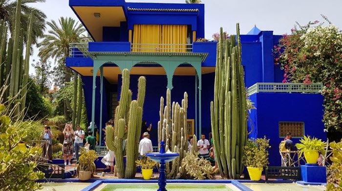 Marokko Marrakech Jardin Majorelle, kaktusser, blåt hus