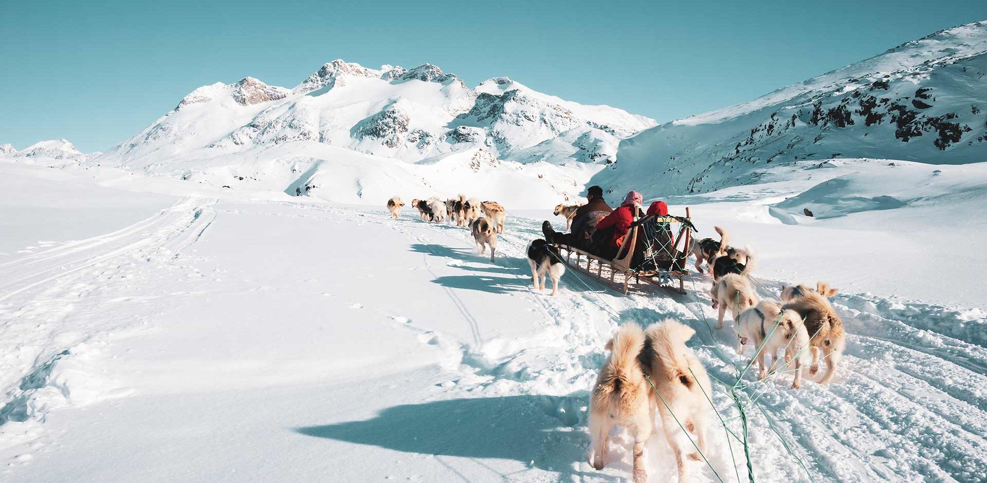 rejser til Grønland, hundeslæde, slædehunde, slædetur, Kangerlussuaq