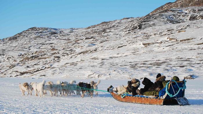 rejser til Grønland, hundeslæde, slædehunde, Kangerlussuaq
