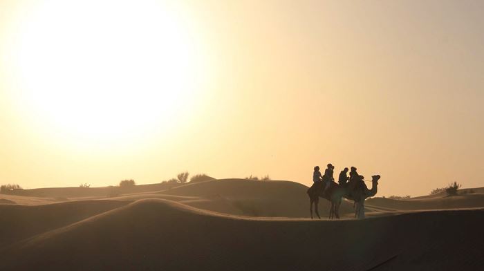 Dubai Ørken Kameler, Beduiner