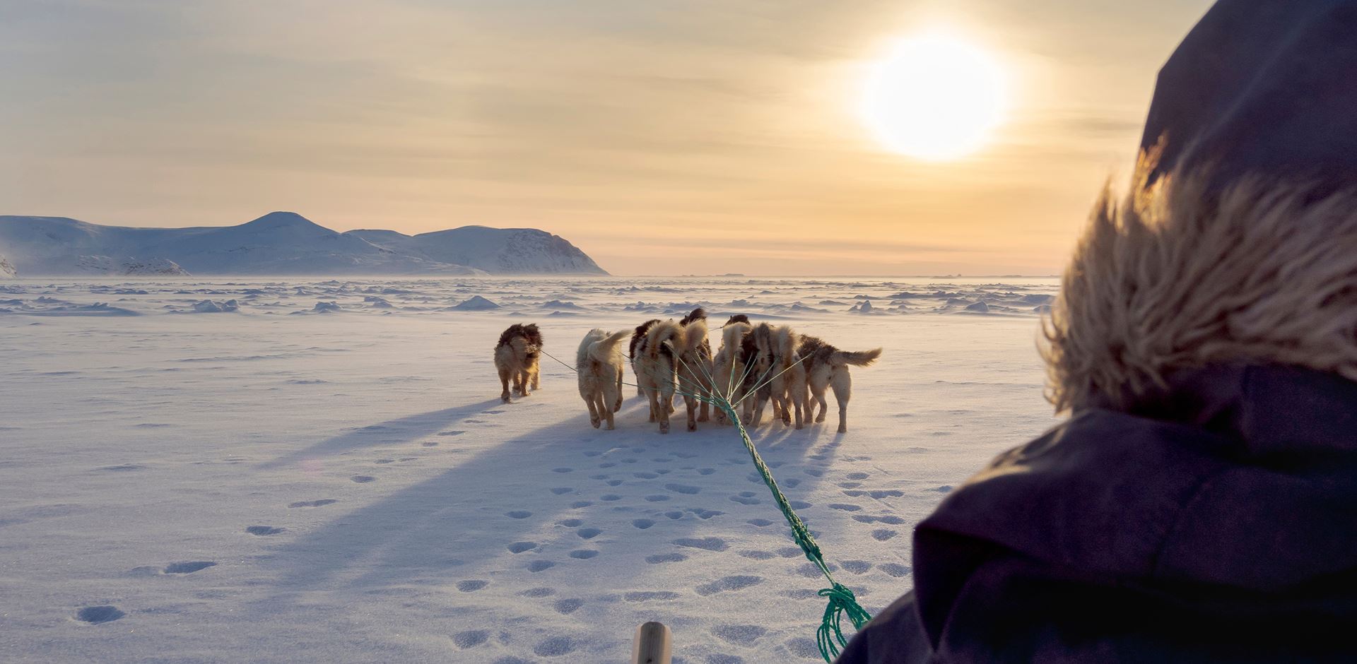 Grønland, Hundeslæde, Slædehunde, Slædetur, Kangerlussuaq