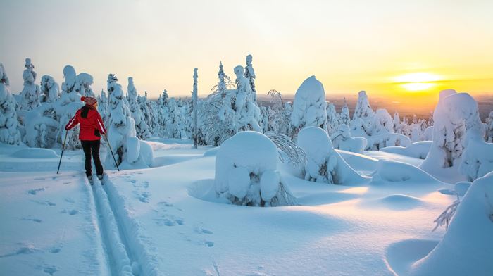 Finland, Finske Lapland, Finland, Inari, Wilderness Hotel, Skitur, Langrendski, Sne