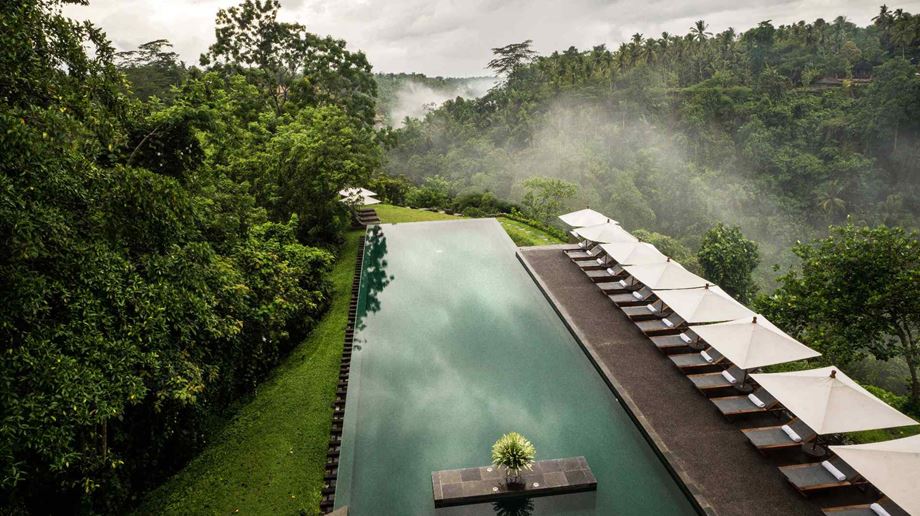 Indonesien, Bali, Ubud Alaya Ubud, Infinity Pool