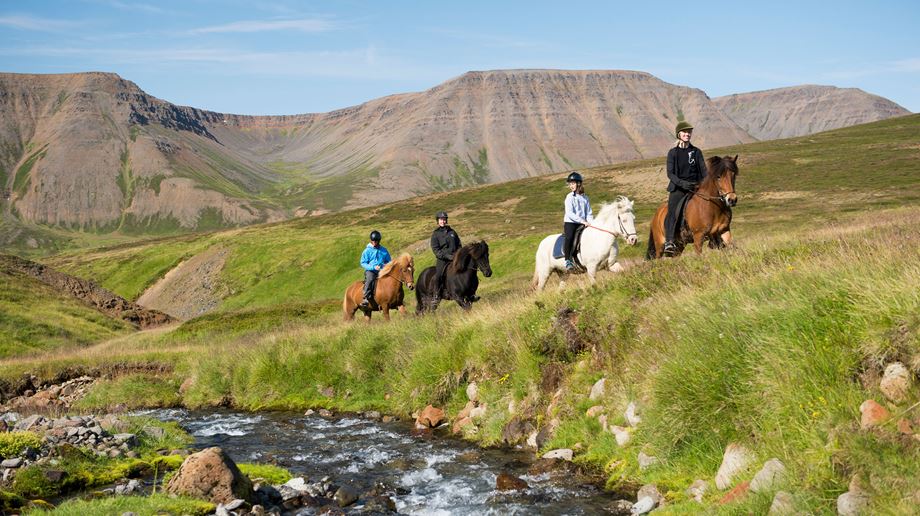 Island Deplar Farm Aktivitet Horseback