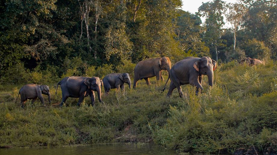 Sri Lanka Wild Glamping Gal Oya Iginiyagala Baad Safari