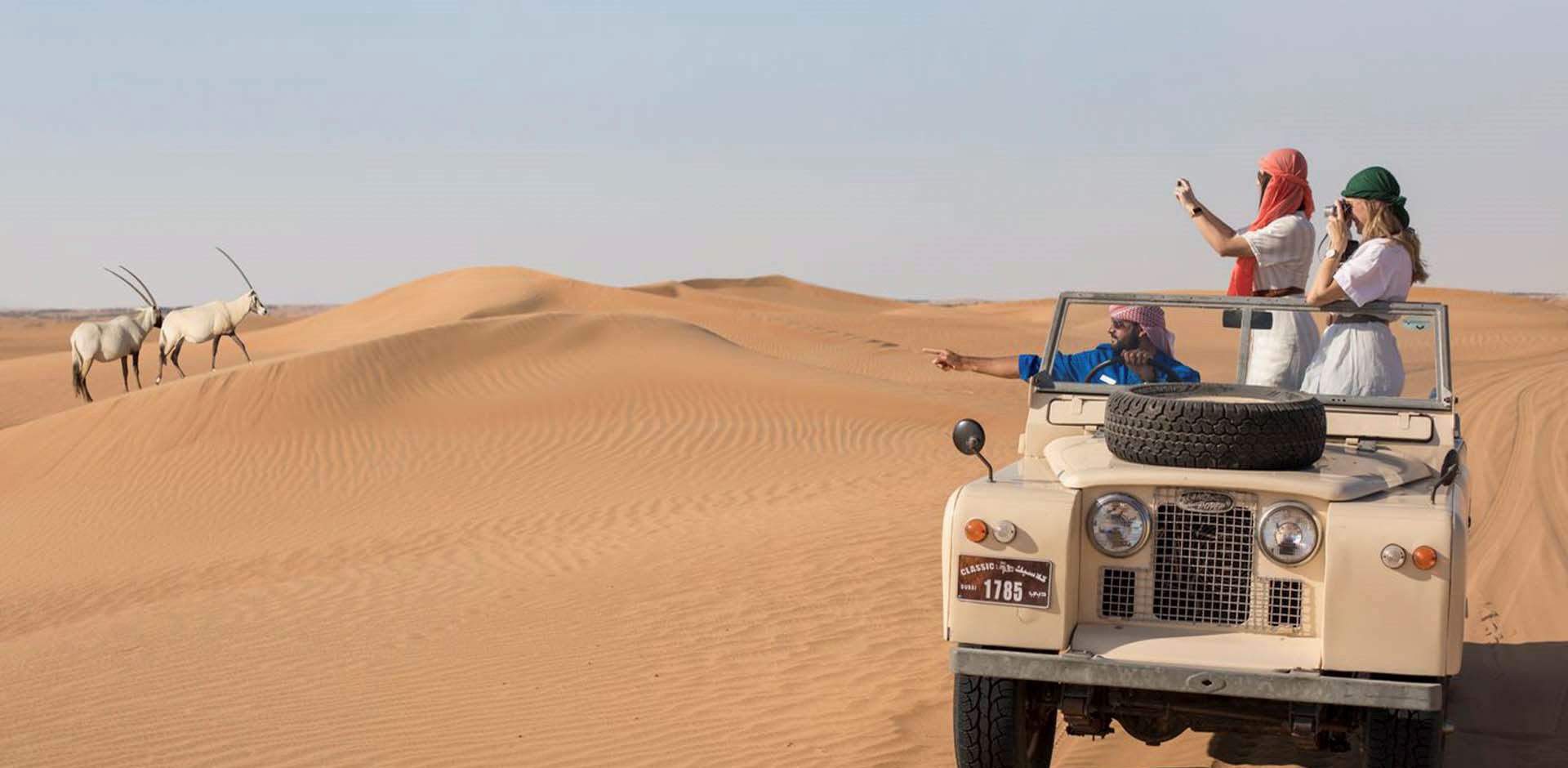 Dubai Ørken Safari Land Rover Oryxer, Flok, Sand