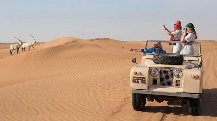 Dubai Ørken Safari Land Rover Oryxer, Flok, Sand