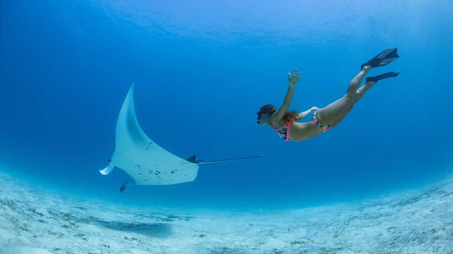 Rejser til Maldiverne, Centara Grand Island Resort & Spa, Snorkeling med mantarokke