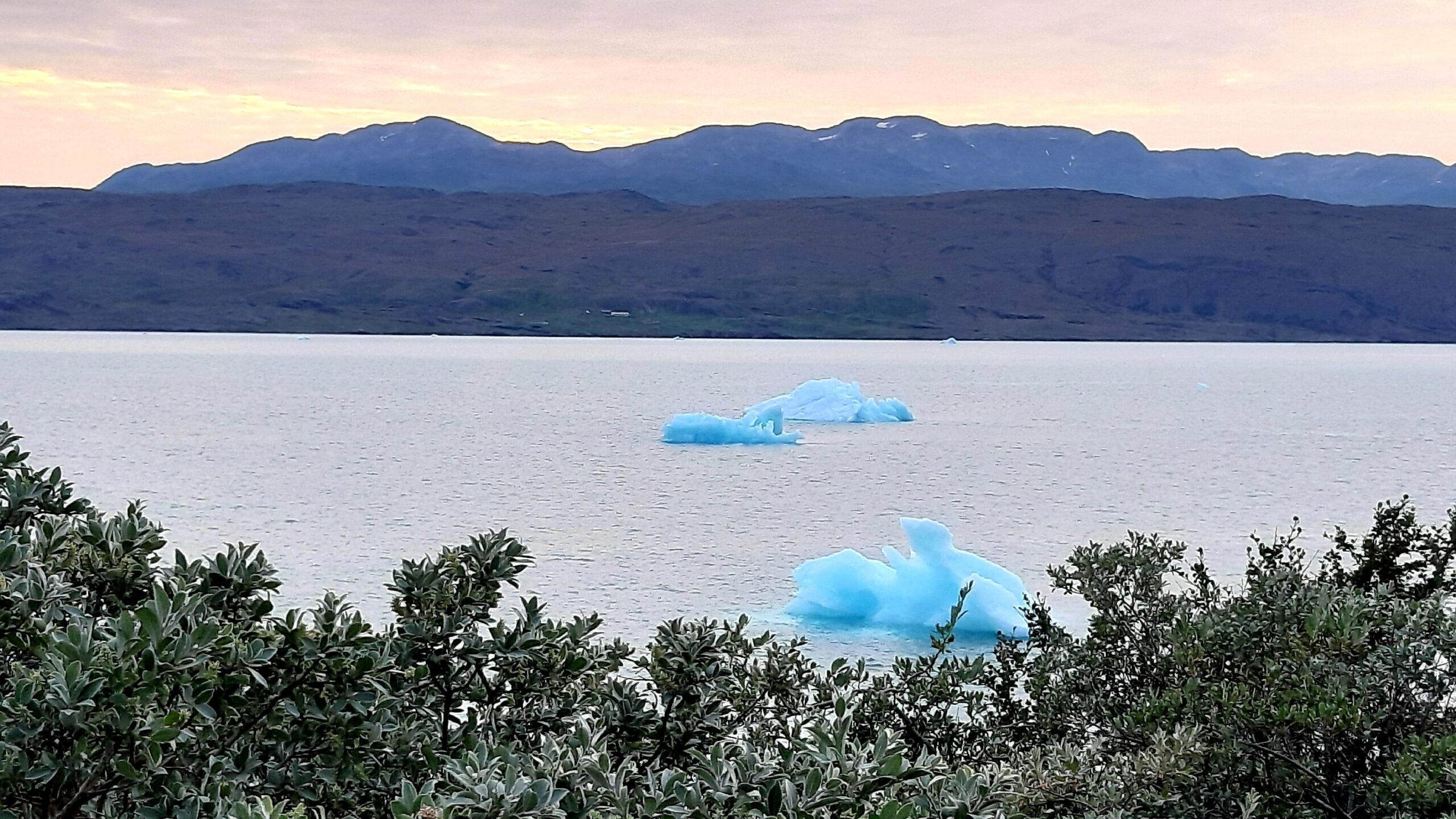 Grønland, syd, Fjord, Narsarsuaq