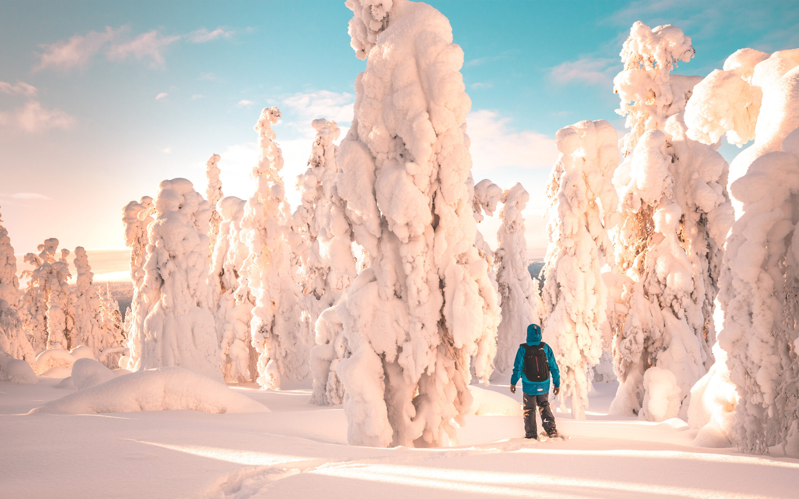 finland Lapland snelandskab med tildaekket traeer scaled
