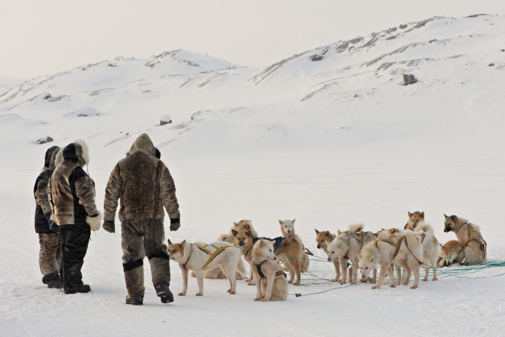 Grønland Ilulissat, Diskobugten, Slædehunde, Slædetur, Sne, Natur