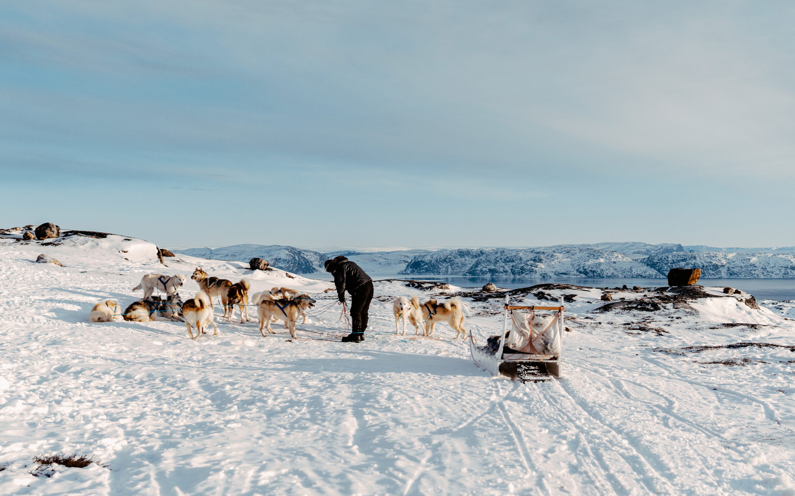 Grønland Ilulissat Igloo Lodge, Hundeslædetur, Jørgen, Natur