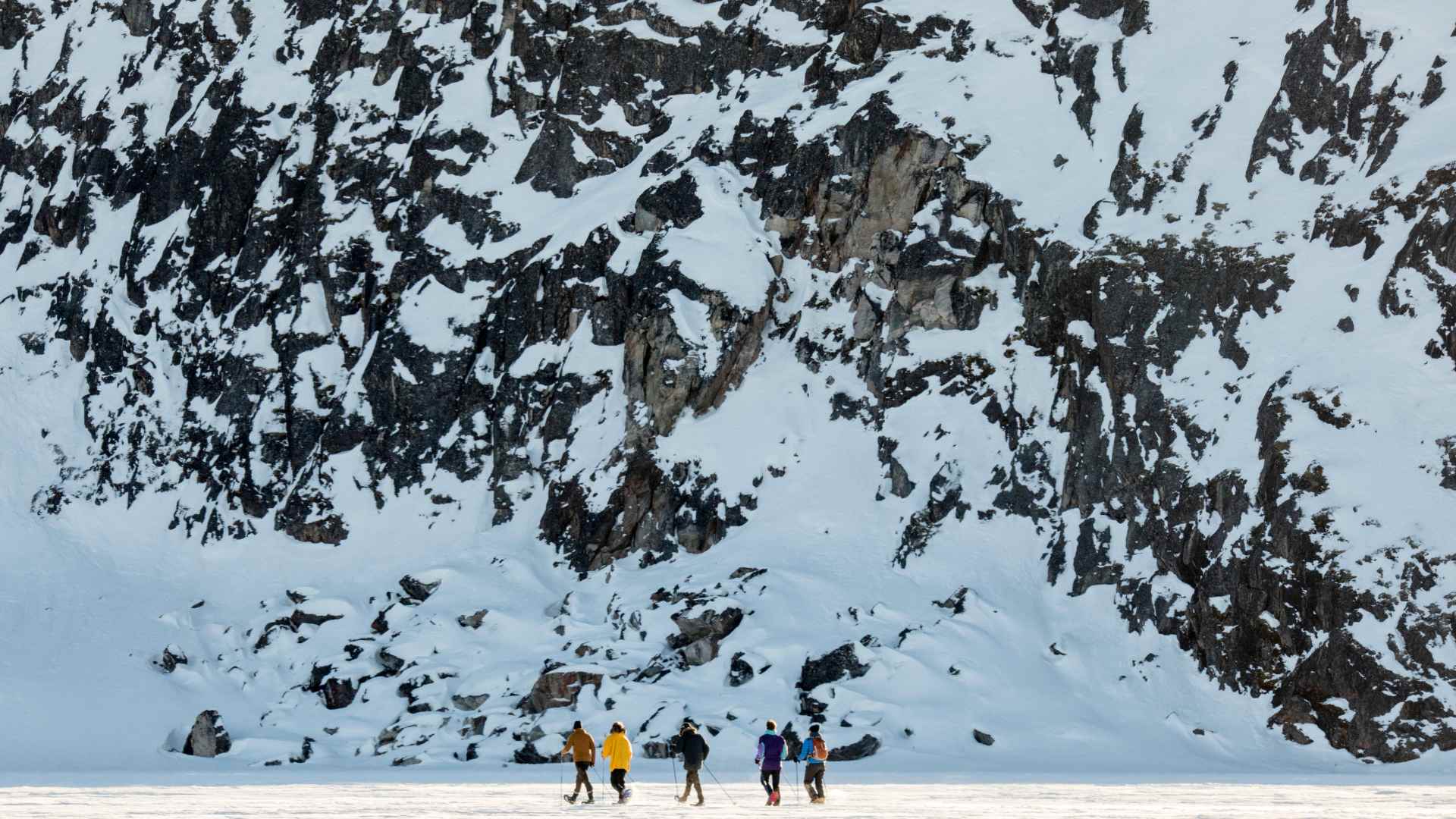 Grønland Iglo Lodge llulissat, Udflugt, Vandrere, Diskobugten, Vinter, Snelandskab