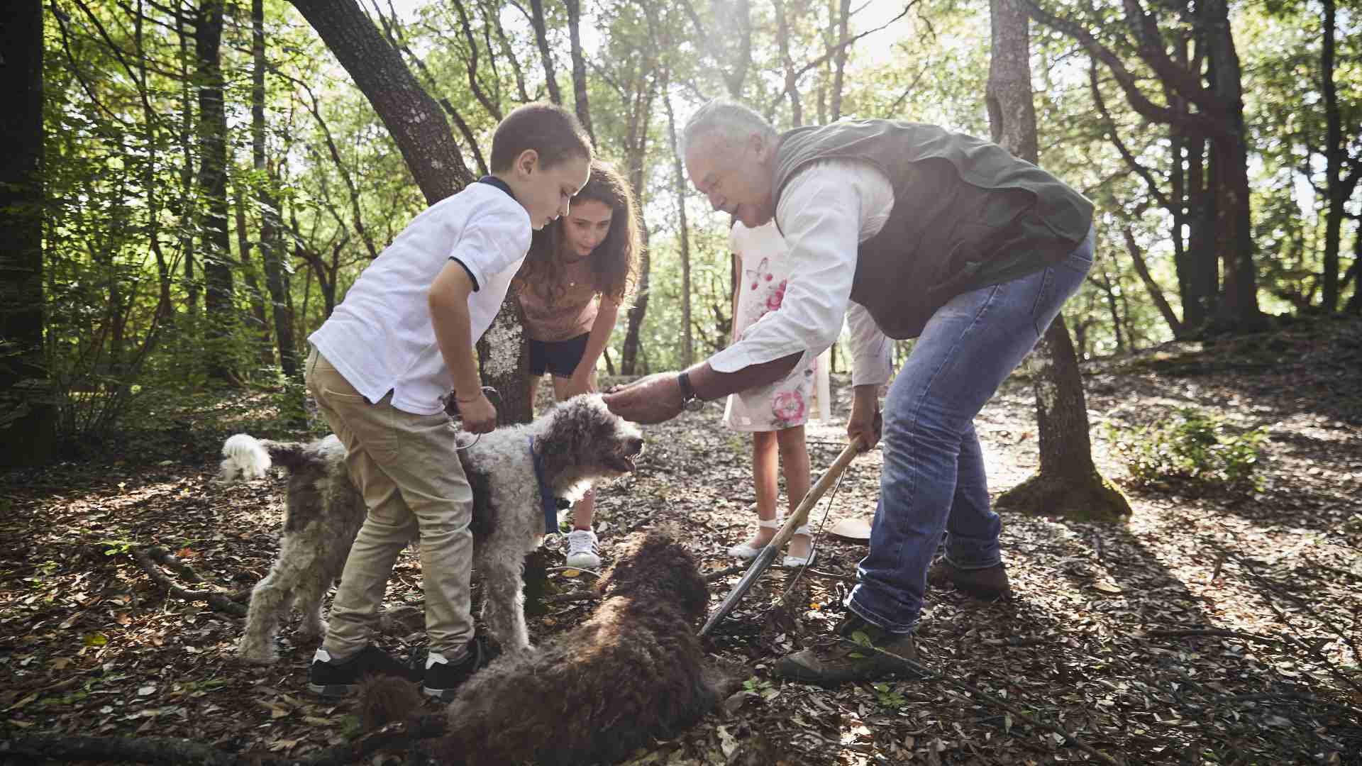 Italien Toscana Belmond Castello Di Casole Dogs