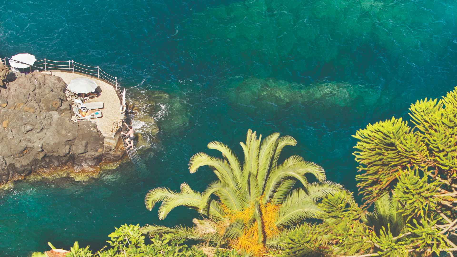 Rejser til Portugal, Madeira, Belmond Reid's Palace, havet