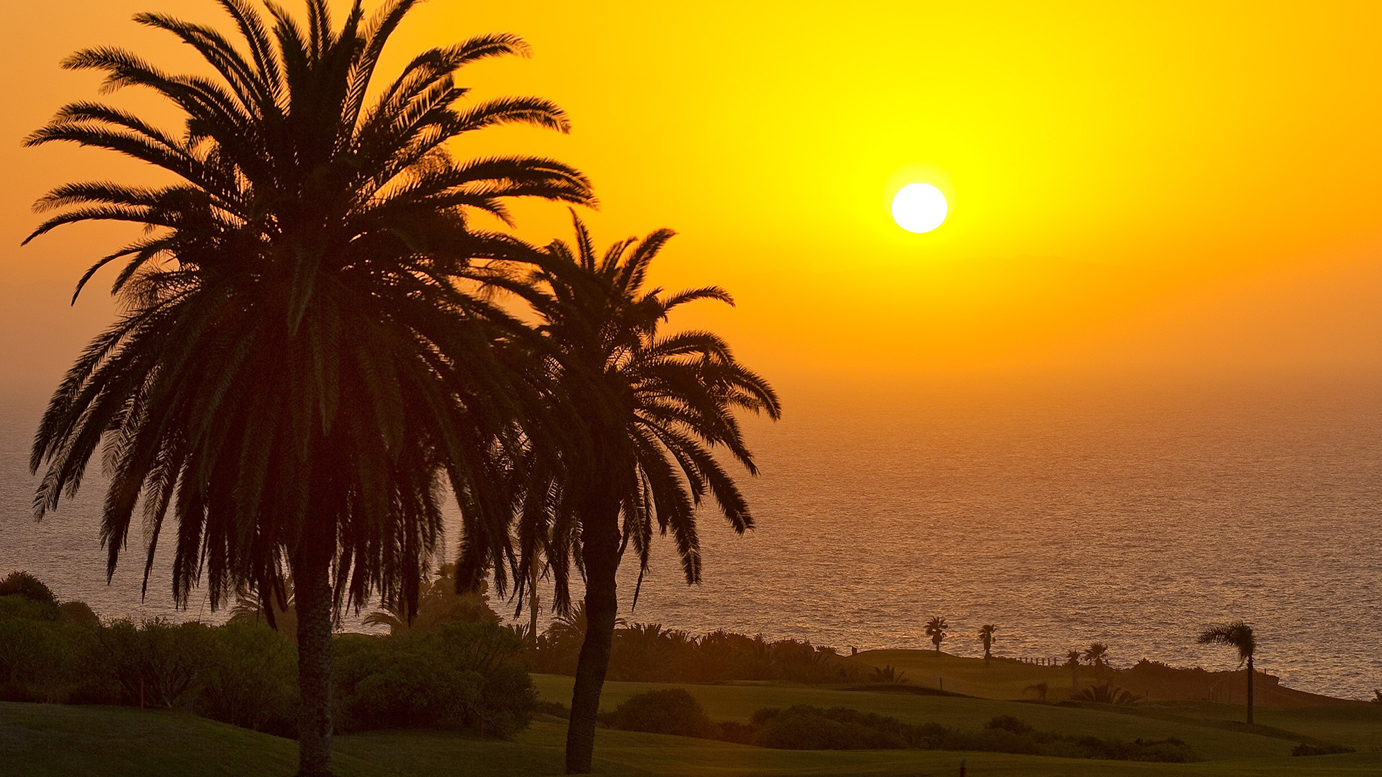 Spanien Tenerife Hacienda del Conde Golf og solnedgang