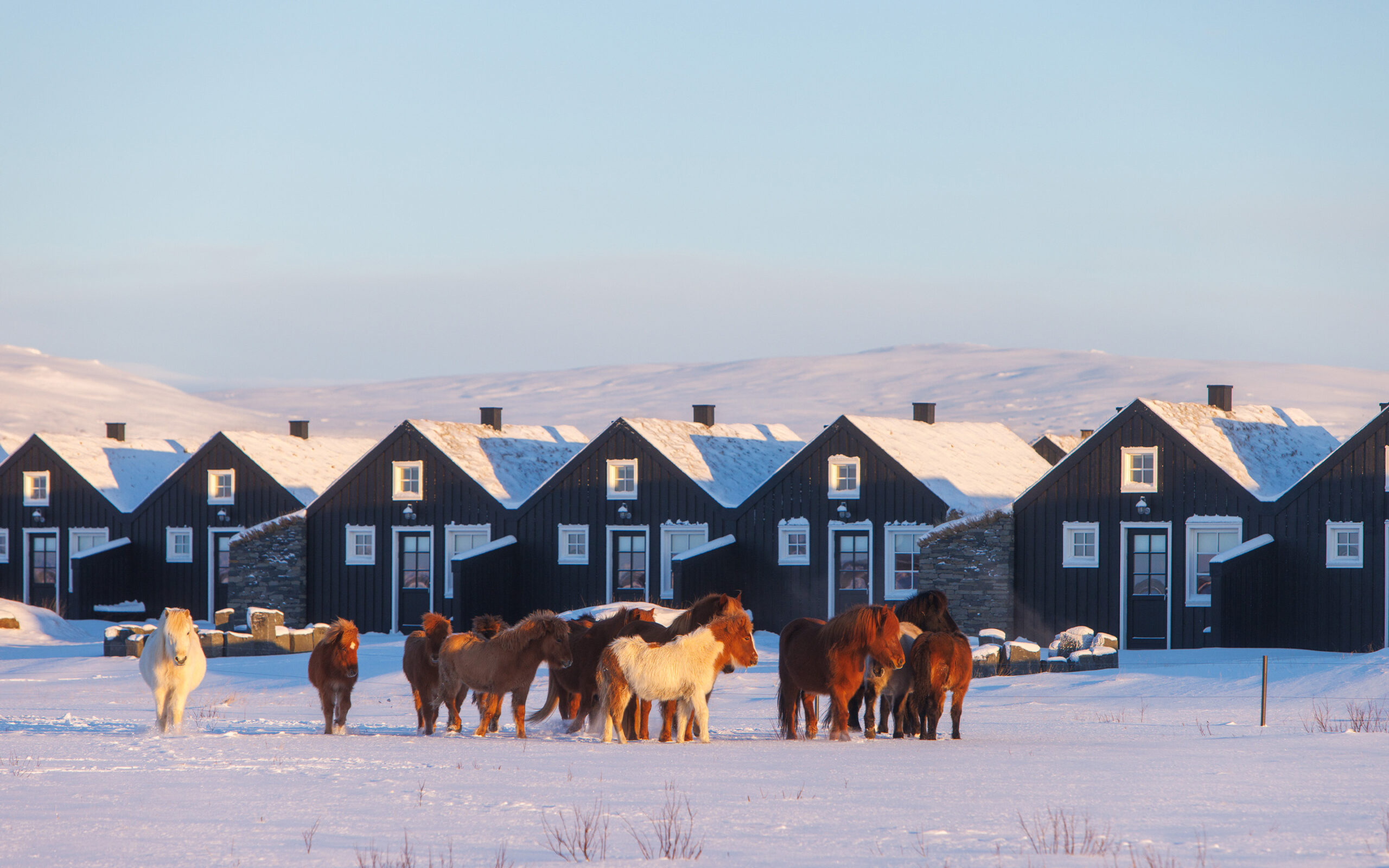 Island Torfhus Retreat Torfhus Torfbær Hytter