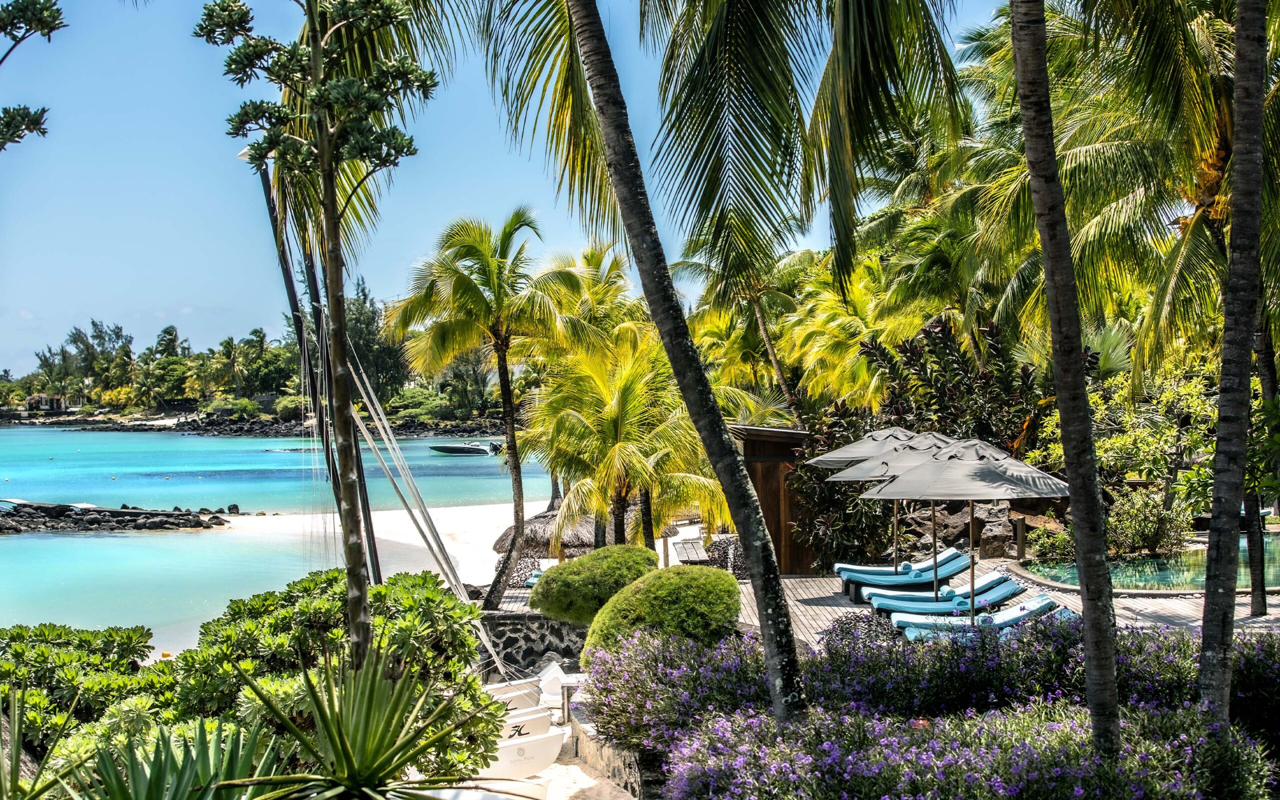 Mauritius Royal Palm Beachcomber Frodig Have