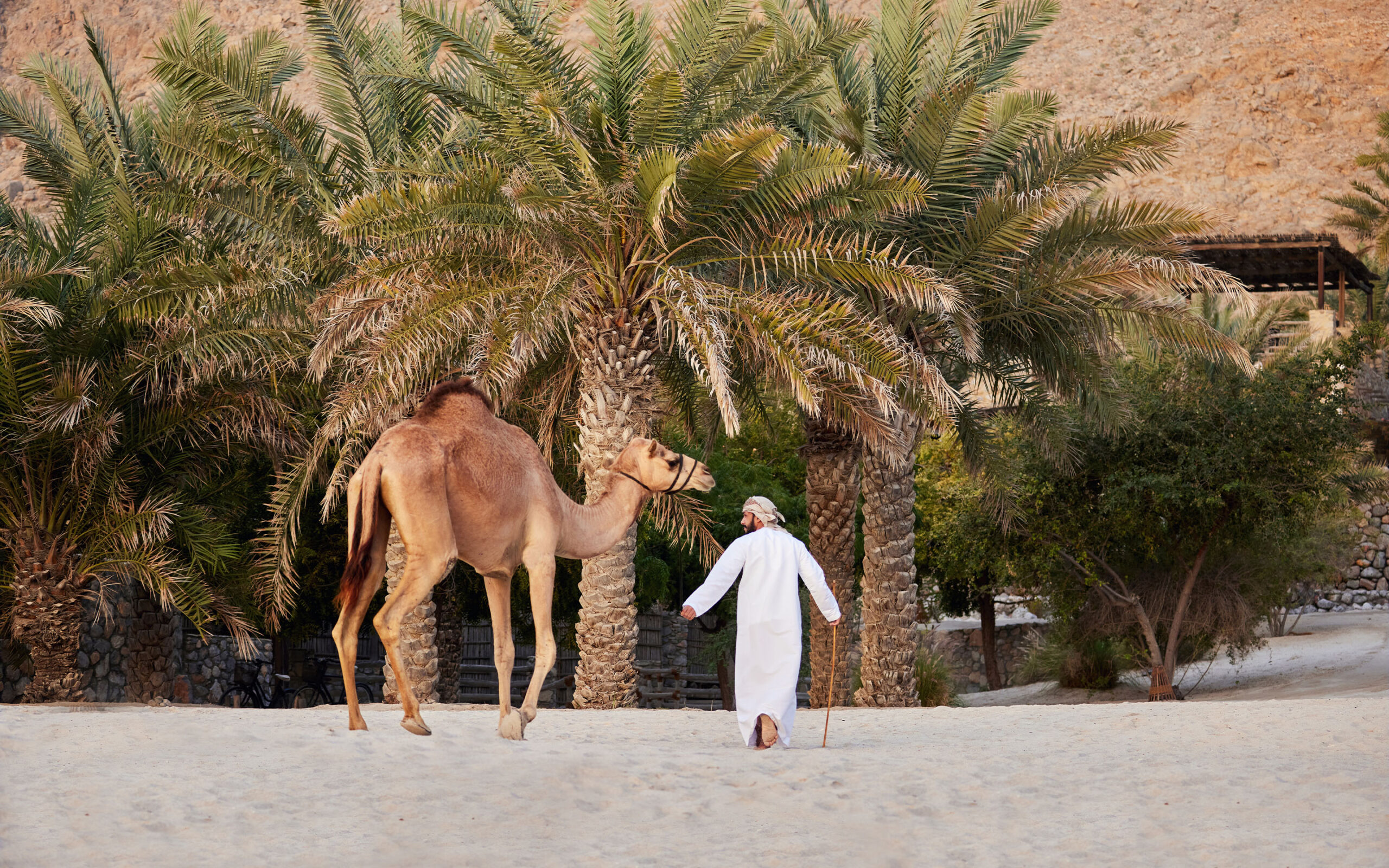 Oman Musandam Six Senses Zighy Bay Kamel