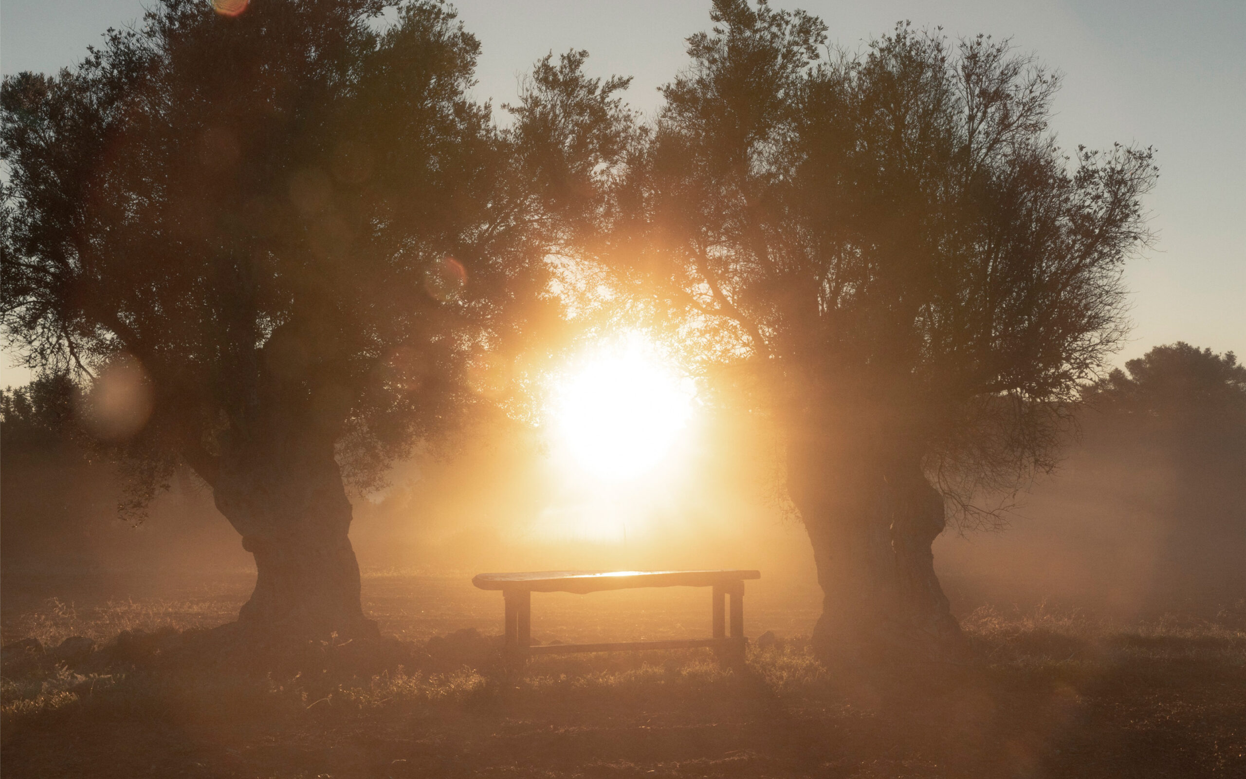Rejser til Spanien, Ibiza, Six Senses, Solnedgang